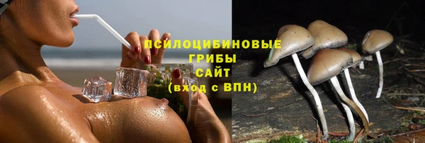 экстази Новозыбков