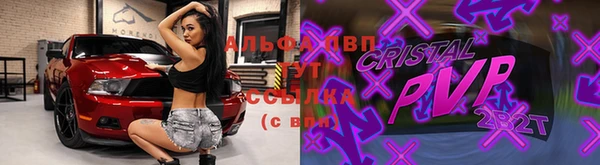 дмт Новокубанск