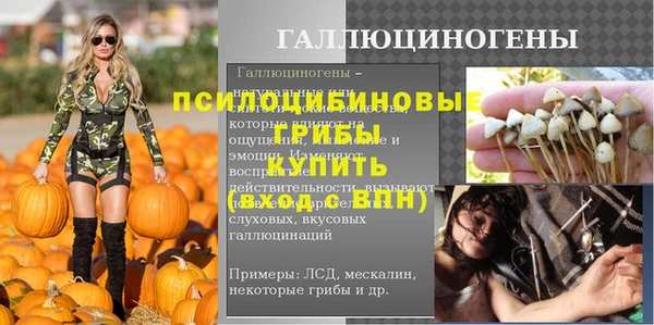 дмт Новокубанск