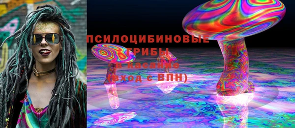дмт Новокубанск